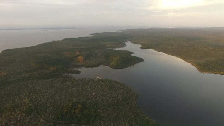 Brazil's Munduruku tribe haunted by mercury's deadly threat