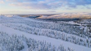 Palladium One Mining's Lantinen Koillismaa (LK) project in northern Finland. Credit: Palladium One Mining.