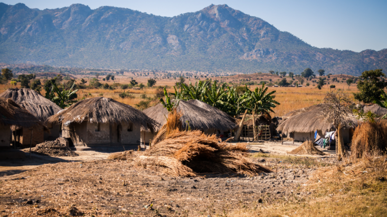 Zambian state needs bigger role in mines to help the economy, president says