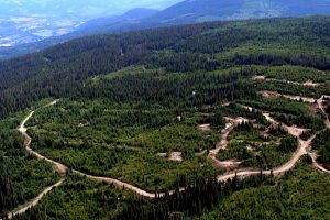 Taseko begins Yellowhead copper project talks