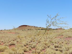 Fortescue pays royalties to Aboriginal group, a year late