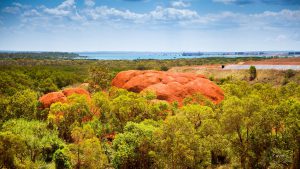 Rio Tinto neglected good communication with Indigenous groups -executive