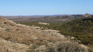 Australia’s Northern Territory grants ‘major project status’ to Thor’s tungsten/molybdenum project