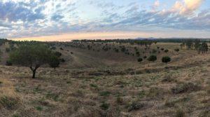 Australia Snubs Court’s Climate Order to Approve Coal Project