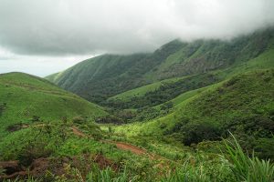 Billionaire Friedland banks on Liberia’s railway to tap Guinean iron