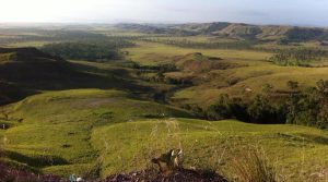 Venezuelan Indigenous group rejects presence of state-owned mining corporation on their land