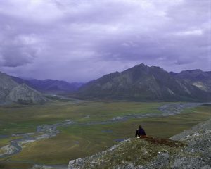 Election will decide fate of Alaska mine, electric cars