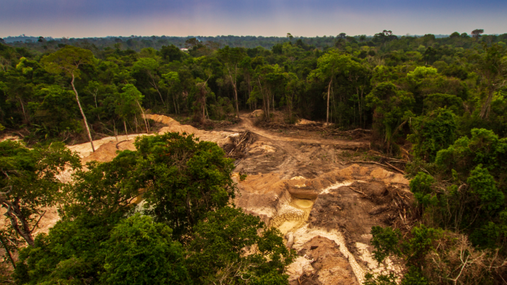 Mining In The Amazon Threatens 20 Of Indigenous Lands Report 