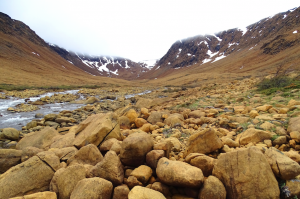 Newfoundland landscape