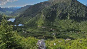 Northisle tables updated PEA on 22-year mine at North Island in BC