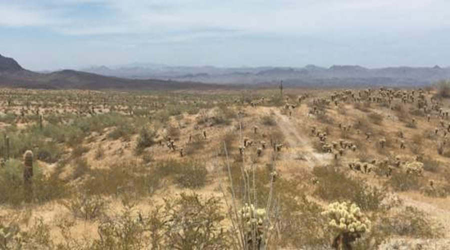 Western Rare Earths receives drill permit for La Paz project in Arizona