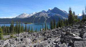 Alberta halts coal exploration on Rocky Mountains