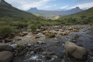 'Diamond rush' grips South African village after discovery of unidentified stones