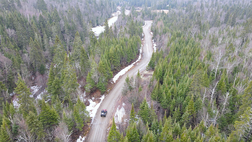 Red Pine Exploration stock surges results at Wawa gold project MINING.COM