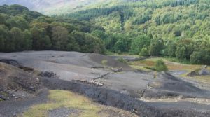 Bacteria help extract rare earths from mine slag heaps