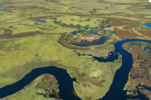 De Beers, National Geographic partner to protect Okavango Delta source waters