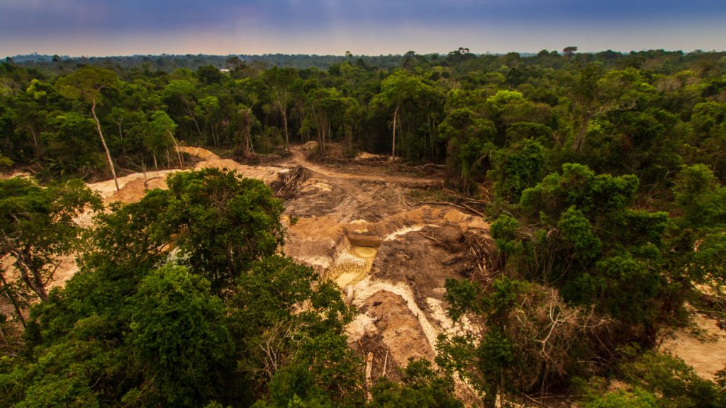Illegal gold represents 17% of Brazil's exports - study