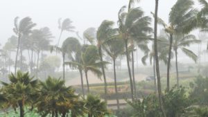 'Extremely dangerous' Hurricane Ida knocks out more oil than Katrina