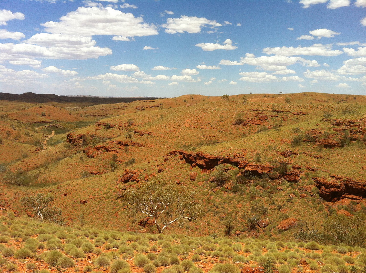 Gold production at Novo Resources' Nullagine reaches monthly record