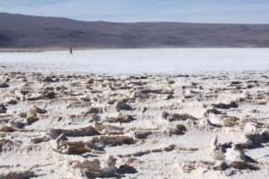 Lithium prices continue to rise on the strength of the Chinese market