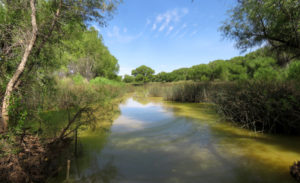 US court overturns Trump water rule on environmental grounds