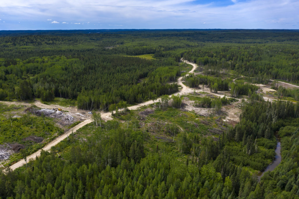 Canadian gold miner Kinross to buy Great Bear for $1.42 bln