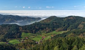 The Black Forest holds a secret to making electric cars greener