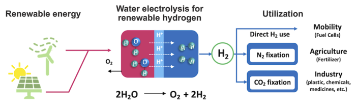 ‘Endangered metals’ no longer needed to produce hydrogen from water ...