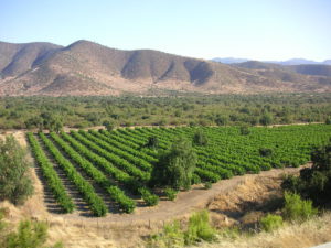 Chile committee votes to scrap water rights for mines and farms