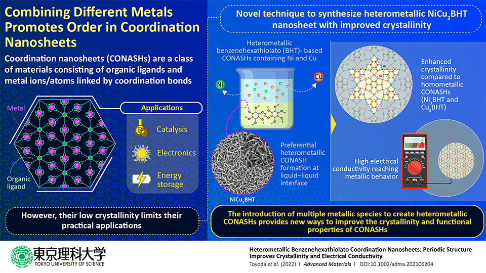 Copper, nickel play important role in development of next-gen 2D materials