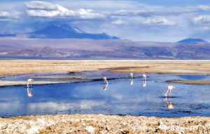 Lithium Smashes New Record as Supply Struggles to Feed EV Growth