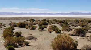 Australia’s Lithium Energy, Hanaq Group join forces to explore new lithium deposits in Argentina