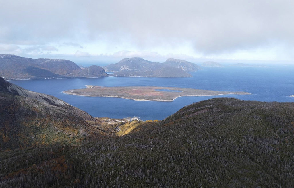 York Harbour makes Newfoundland base metals exploration progress