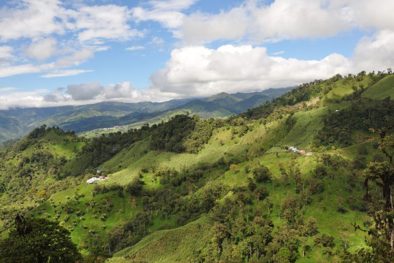 Atico Mining receives EIA approval for La Plata project in Ecuador ...