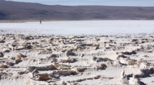 Goldman sparks bear-bull battle in the lithium market: Andy Home