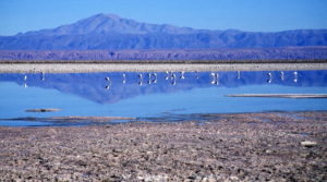 Red-Hot Lithium Rally Cools as China’s BYD Flags Surplus