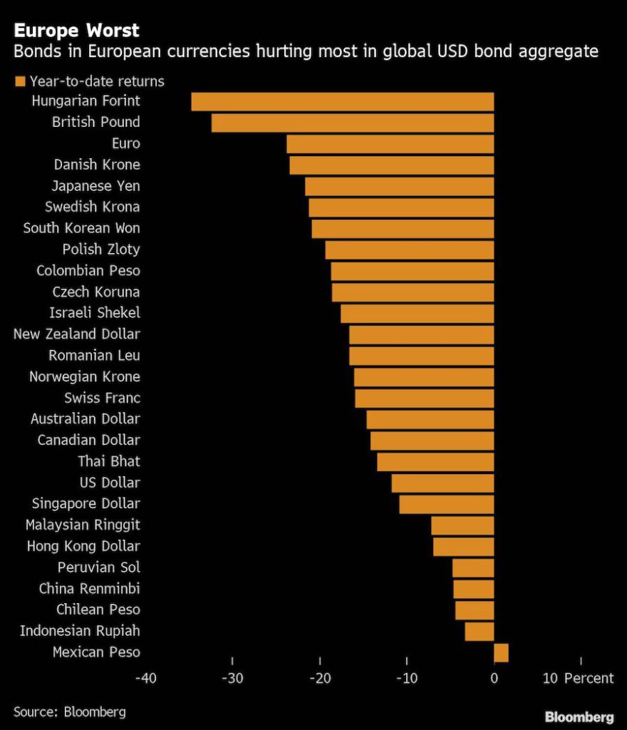 Bear Market Leaves Bond Investors With Few Places to Hide