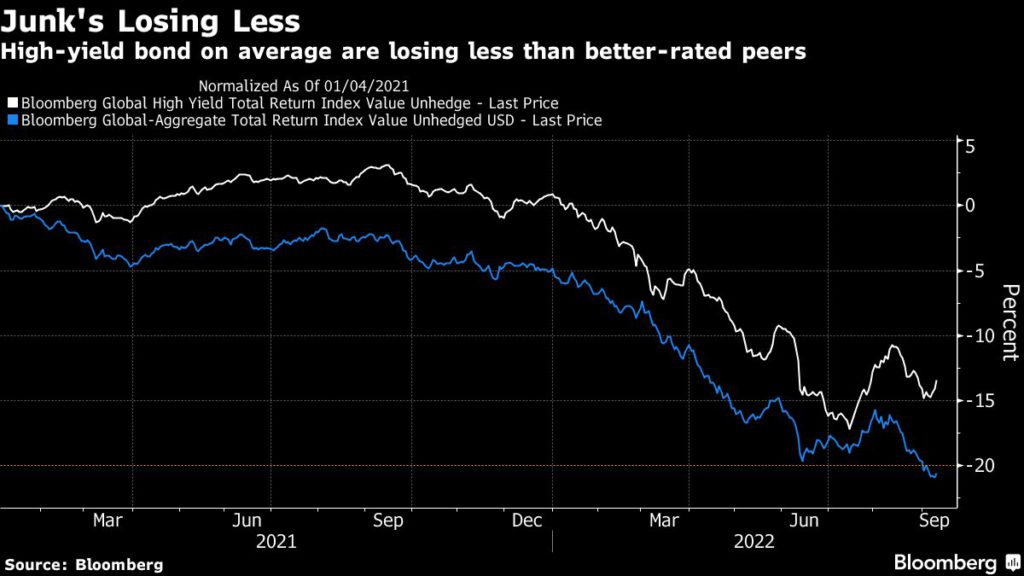 Bear market leaves bond investors with few places to hide