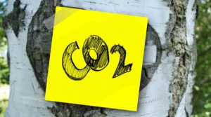 CO2 sign on a tree