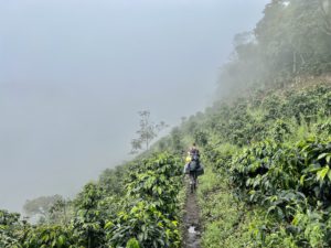 Collective Mining grows Guayabales gold zone in Colombia