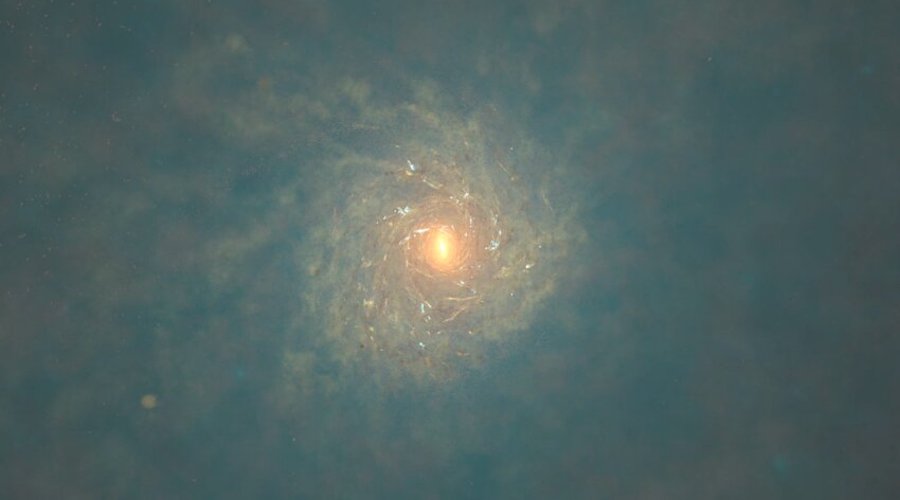 The simulated Milky Way-like galaxy at present