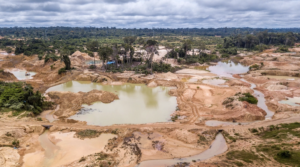 New traceability tool could help Brazil’s crack down on illegal gold mining