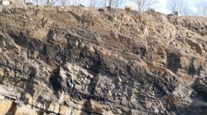 Coal seam