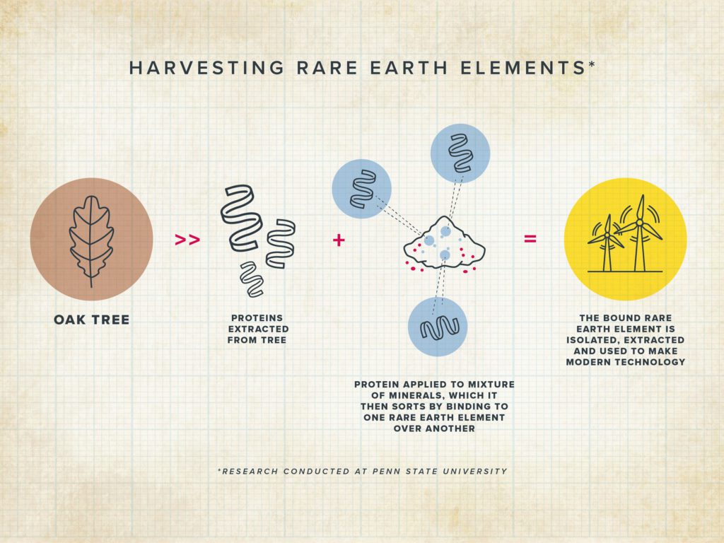 Harvesting REEs graph by Penn State University