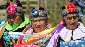 Mapuche Indigenous women in Chile