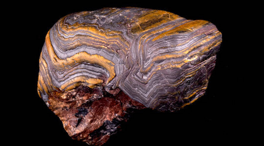 Metamorphosed banded iron formation from southern Wyoming showing deformation and folding. The rock is approximately 2.7 billion years old.
