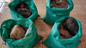 Some of the bags of copper concentrate that a group was planning to steal from Escondida