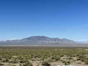 Nevada juniors collaborate on mine reclamation research