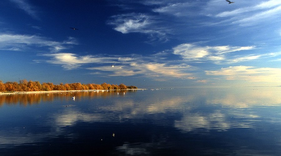 The lithium-rich Salton Sea in California's Imperial Valley.