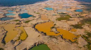 Shallow mining ponds overwhelm a former river system in the La Pampa region of Madre de Dios, Peru.